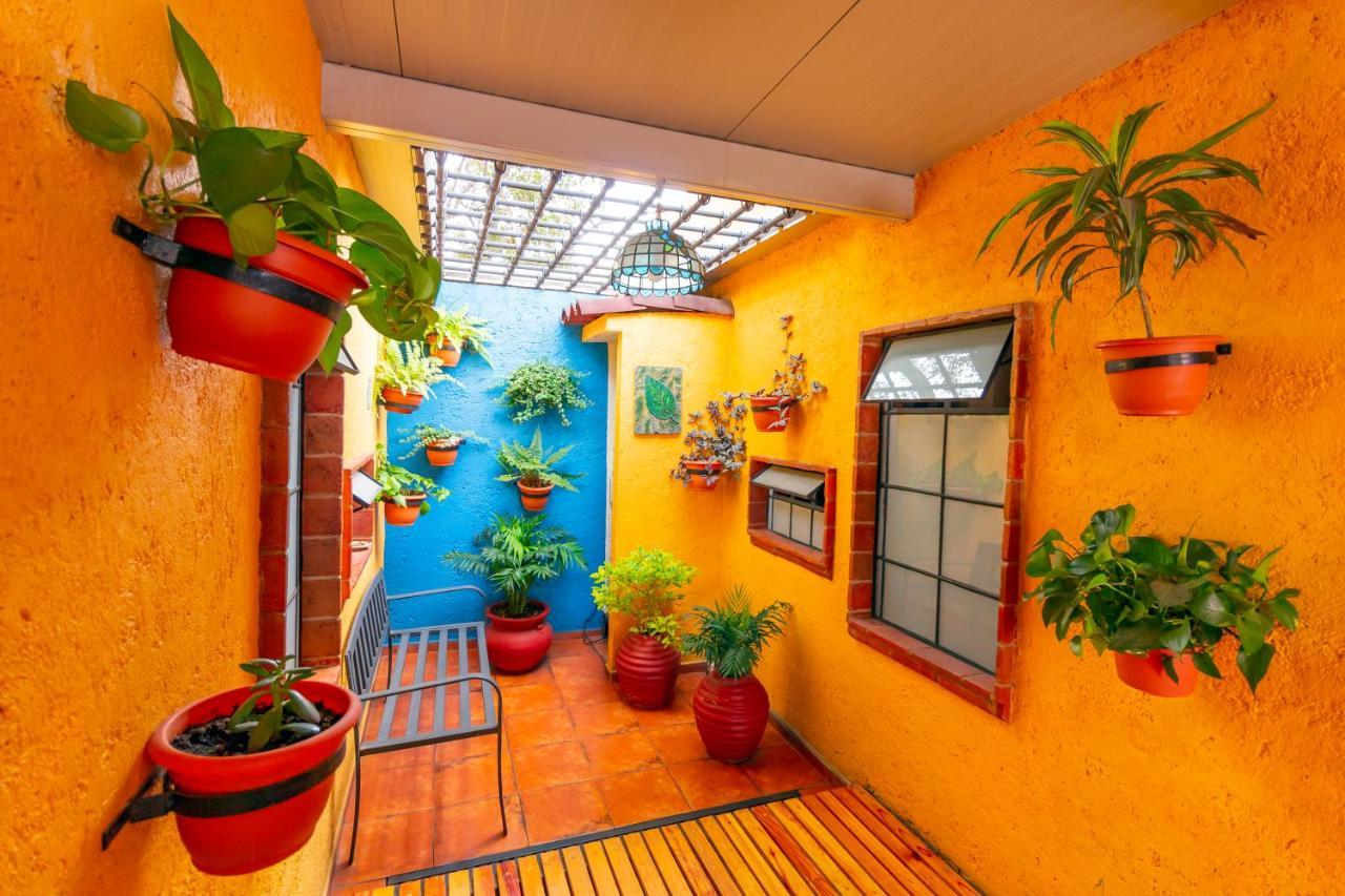 Mex Suites Casa Azul B&B Mexico by Eksteriør bilde