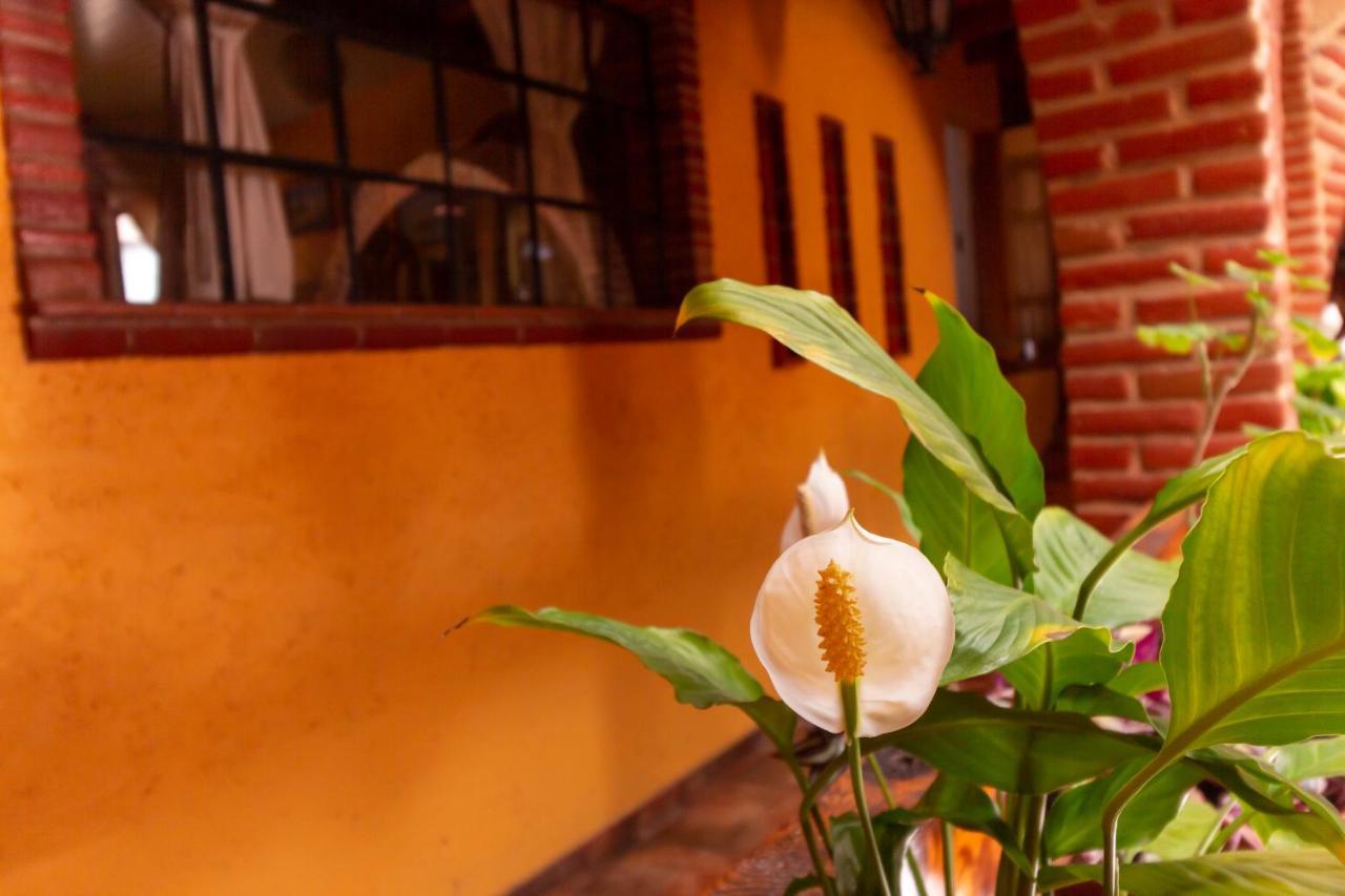Mex Suites Casa Azul B&B Mexico by Eksteriør bilde