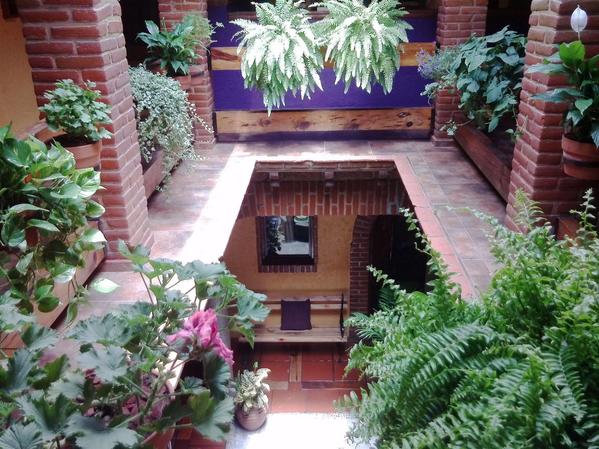 Mex Suites Casa Azul B&B Mexico by Eksteriør bilde